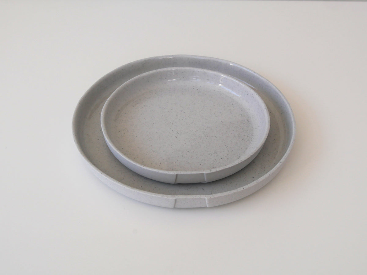 Mini plate